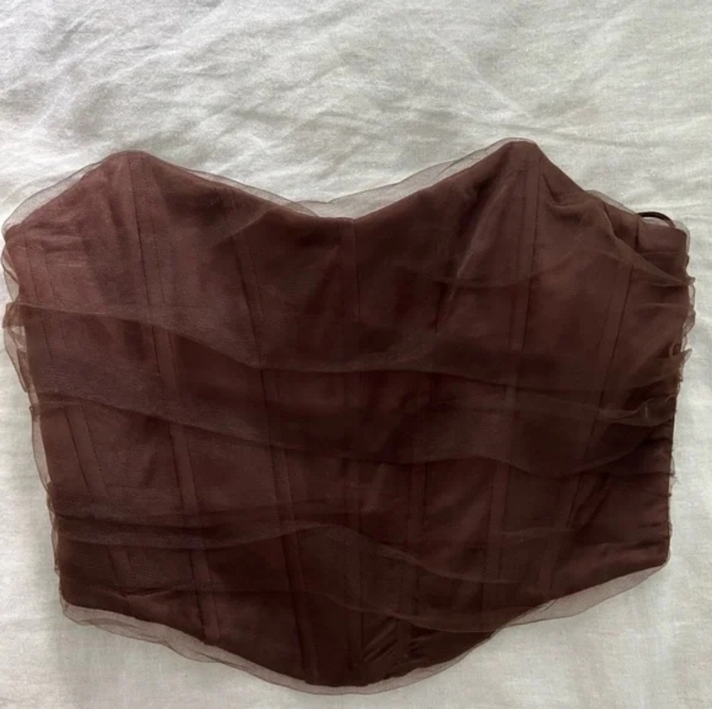 Zara Brown Strapless Bustier Top